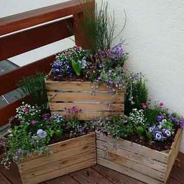 Decoración con cajas de madera para jardines.